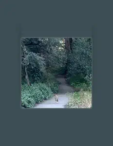 Listen to Vulpinii, watch music videos, read bio, see tour dates & more!