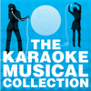 The Karaoke Musical Collection, Vol. 1 - The City of Prague Philharmonic Orchestra