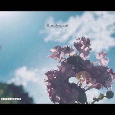 Misunderstood (feat. Sadly Hated & Kaitlyn) - Single