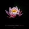 Nelumbo - Single