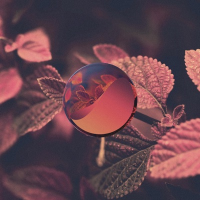 AWAY (feat. Prepare for the Future & Eryn Young) - Single