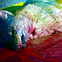 Haters - Single - Odonisone