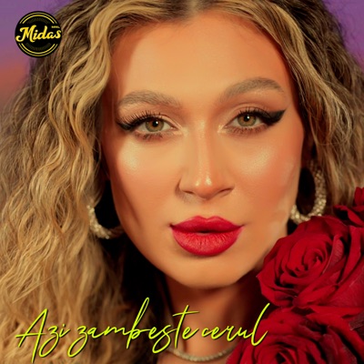 Azi zambeste cerul - Single