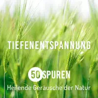 Musik für Spa — Zen Buddhismus Regeneration Sammlung