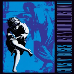 USE YOUR ILLUSION II cover art