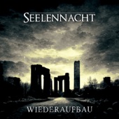 Wiederaufbau (Robota Robotny Remix) artwork