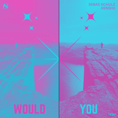 Would You - Single