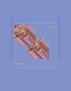 Posłuchaj wykonawcy gramino, obejrzyj teledyski, przeczytaj biografię, zobacz daty tras koncertowych i nie tylko!