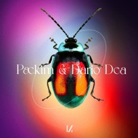 Your Mind - Single - Packim & Dario Dea