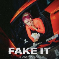 Fake It - Single - Chany Dakota