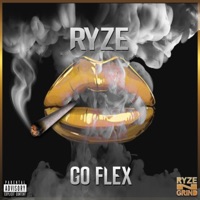 Go Flex - Single - Ryze