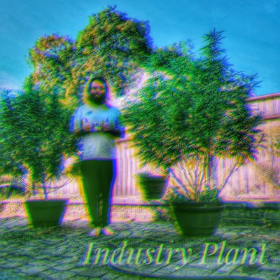 Industry Plant