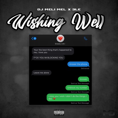 Wishing Well (feat. 3LE) - Single
