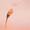 The Wind
