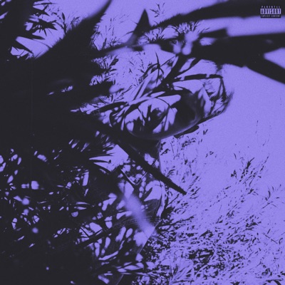 Lost In My Thoughts 2.0