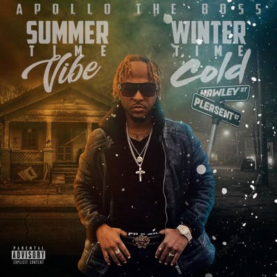Wintertime Cold (Instrumental) - Single