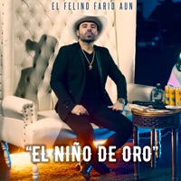 Niño de Oro - Single - EL FELINO FARID AUN