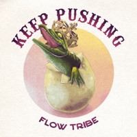 Keep Pushing - Single - Flow Tribe & Ivan Neville