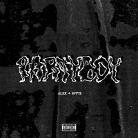 PARTYBOY - Single - alex & Sapte