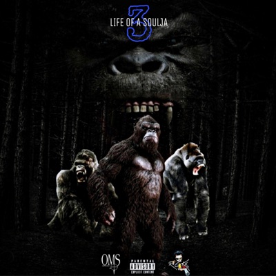 Life of a Soulja 3