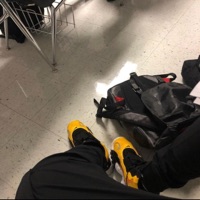 Zb Moves - Single - Kid Junki