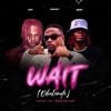 Icon Wait (feat. CKay & Obidiz) - Single
