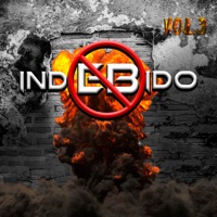 Vol. 3 - Indebido