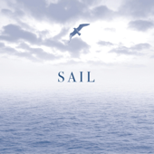 Sail cover