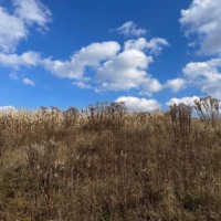 send ur @ - Single - BEANIE BELTRAN