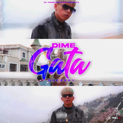 Dime Gata - Single