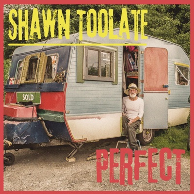 Perfect - Single