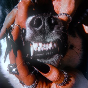 Desperado - Single