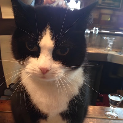 asherjitt - Call Me Maybe Drill (feat. keymander, rng & cynicalv)