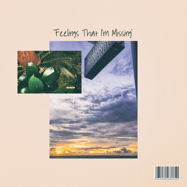 Feelings That I'm Missing - Single