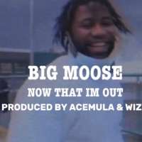 Now That Im Out (feat. Big Moose 280) [Jersey Drill] - Single - AceMula
