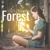 Didier Forest Kool Sexperiment Well-being in the Forest