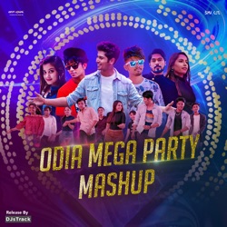 Odia Mega Party Mashup (Remix)