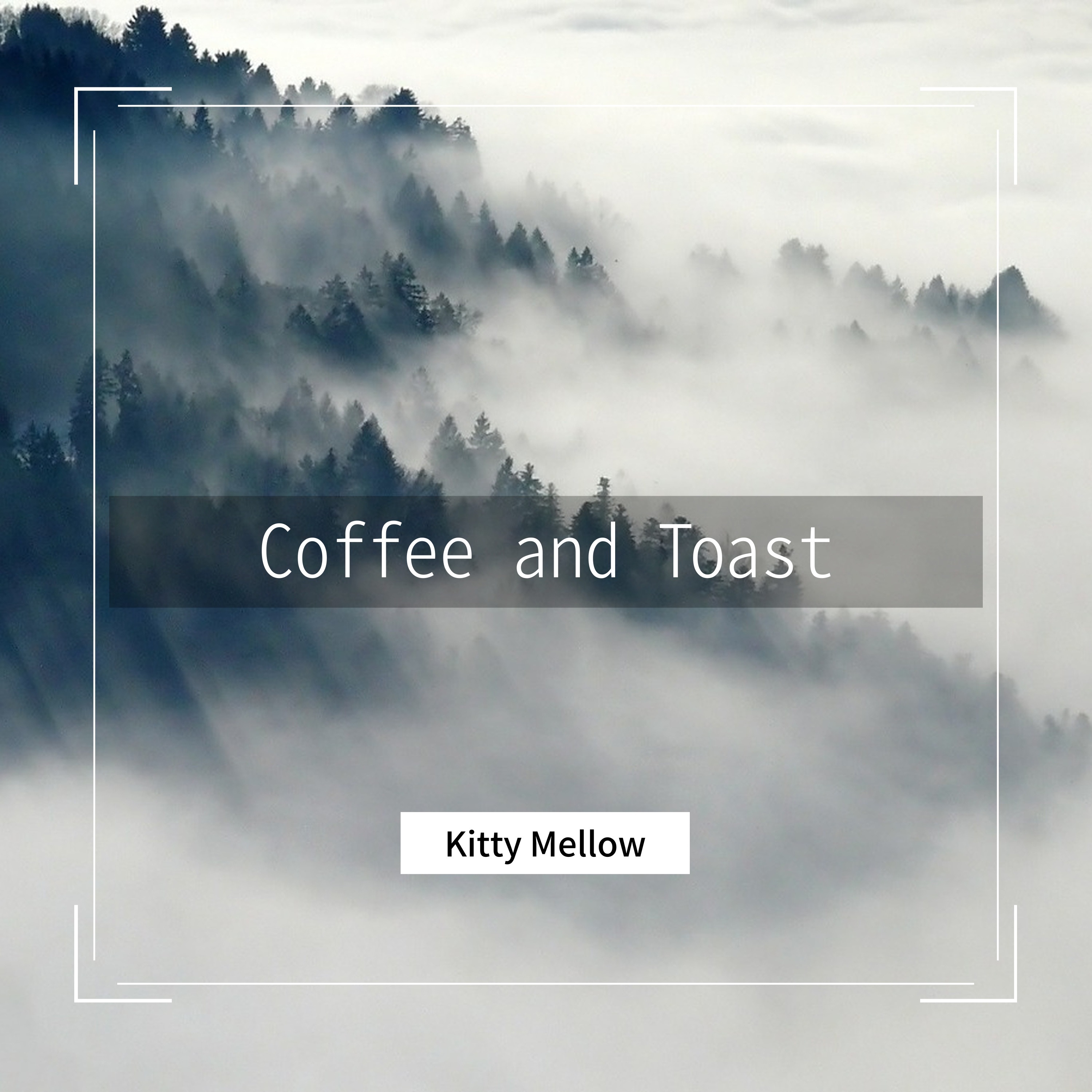 KITTY CITY - PSA - ADOPTION EVENT TODAY