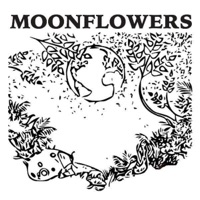 where are you (feat. anne marie almedal)