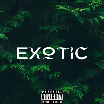 Exotic (feat. Jayythree) - Single