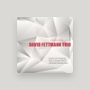 David Fettmann Trio