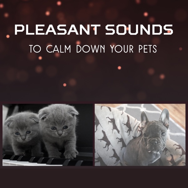 Pleasant Sounds to Calm Down Your Pets – Deep Sleep for Dogs and Cats, Complete Serenity, Pet Relaxation, Take Care for Your Animal Companion