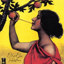 Bora Bora OneShotOnce & Roper Williams