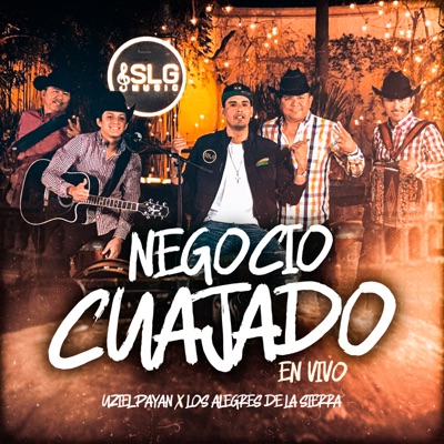 Negocio Cuajado (En Vivo) [feat. Alegres de la Sierra] - Single