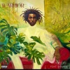 Warrior (feat. Shamir) - Single