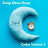 Sleep Sleep Sleep - Sleep Cycle 90