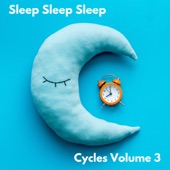 Sleep Cycle 90 artwork