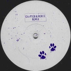 Who Let the Dogs Out (Chapter & Verse Remix) [feat. Evalina] - Single