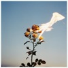 Flowers for the Formless - Single