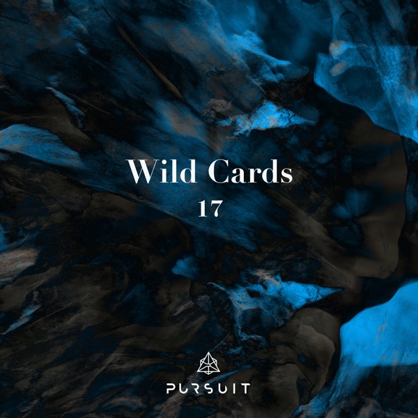 Wild Cards 17 - Single